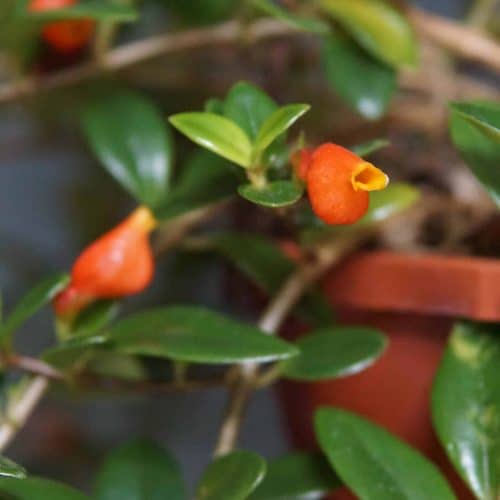 lYVc1R0DRu6MOFG9AgZP.jpg lYVc1R0DRu6MOFG9AgZP.jpg