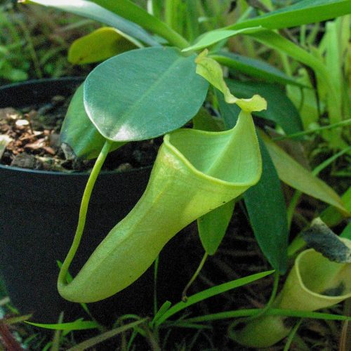 lbI3Ue4DW9osm3d8Er9G.jpg lbI3Ue4DW9osm3d8Er9G.jpg