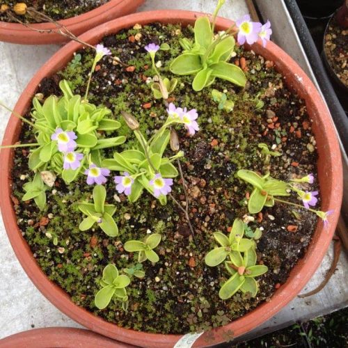 loU8Hsndoa8IBXfQhLzd.jpg loU8Hsndoa8IBXfQhLzd.jpg