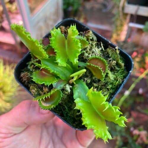 ltcvYhmZCufoWSF5xA8b.jpg ltcvYhmZCufoWSF5xA8b.jpg