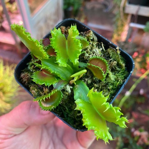 ltcvYhmZCufoWSF5xA8b.jpg ltcvYhmZCufoWSF5xA8b.jpg