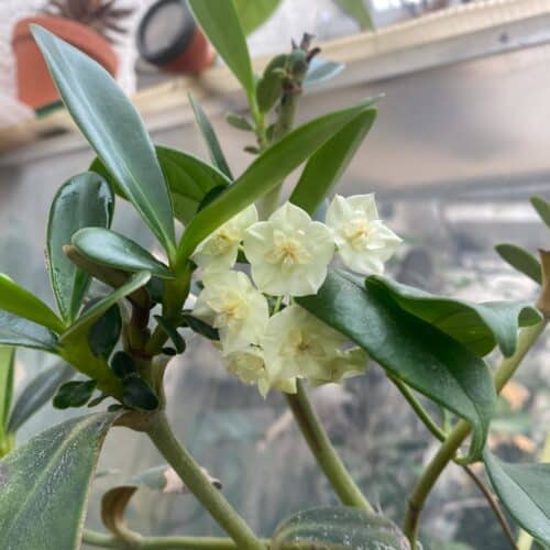 lx1dFGvLEPxJMeDgsf4C.jpg lx1dFGvLEPxJMeDgsf4C.jpg