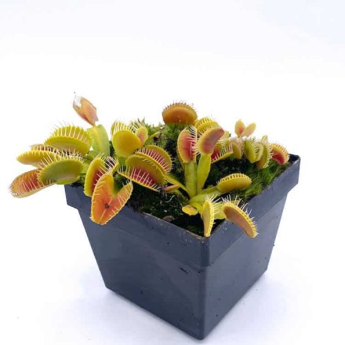 m228yGQwXhaqAYN0hmxK.jpg m228yGQwXhaqAYN0hmxK.jpg