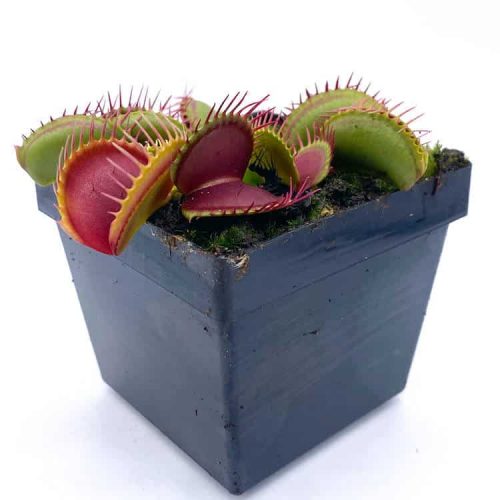 m6UtwvogndaPviwer8k3.jpg m6UtwvogndaPviwer8k3.jpg