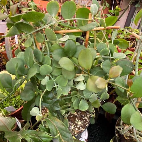 mSLfo3wsKzv9A6zQ9Mrh.jpg mSLfo3wsKzv9A6zQ9Mrh.jpg