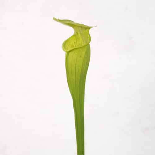 mUBKlCB8a273Z2t0SMIp.jpg mUBKlCB8a273Z2t0SMIp.jpg