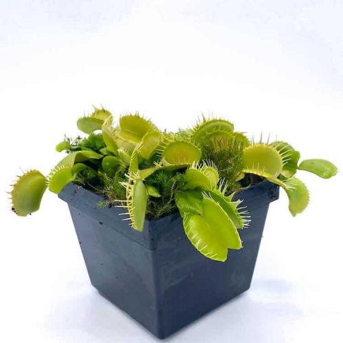 mYxBMYhyhIdT0ZoLUmtd.jpg mYxBMYhyhIdT0ZoLUmtd.jpg