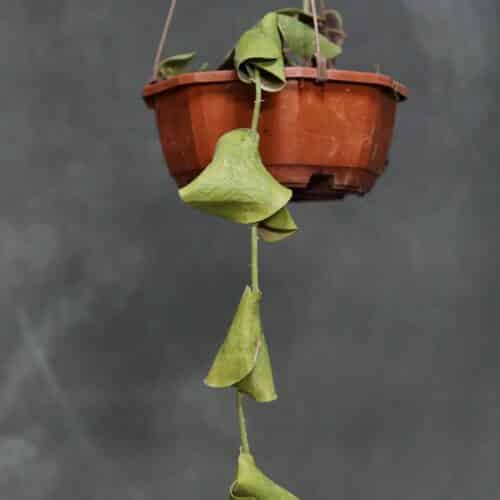 mfHE25IegaqF1zwTREPB.jpg mfHE25IegaqF1zwTREPB.jpg