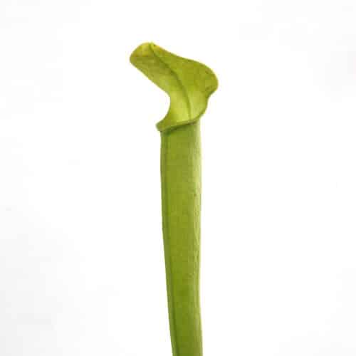 mo27FT9RwJI6i36iLr8l.jpg mo27FT9RwJI6i36iLr8l.jpg