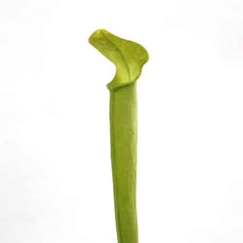 mo27FT9RwJI6i36iLr8l.jpg mo27FT9RwJI6i36iLr8l.jpg