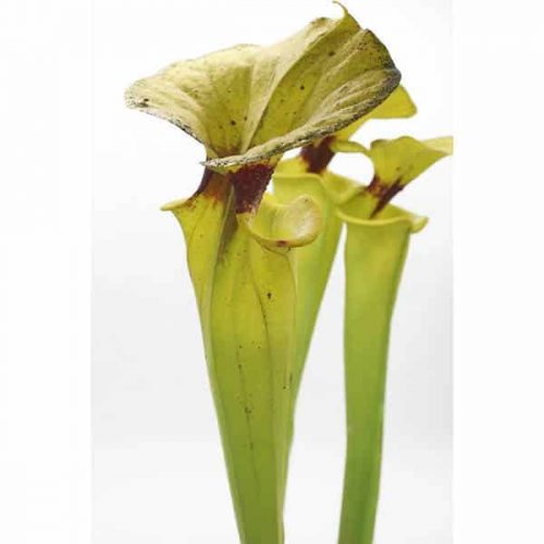 moVYRm2CIPg1SPeg1UbD.jpg moVYRm2CIPg1SPeg1UbD.jpg