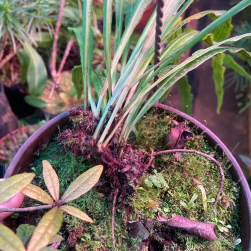 mwp2UBeBcznWtKw1KpfE.jpg mwp2UBeBcznWtKw1KpfE.jpg