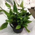 myUYzOFjJ8ZYbmAqgieb.jpg