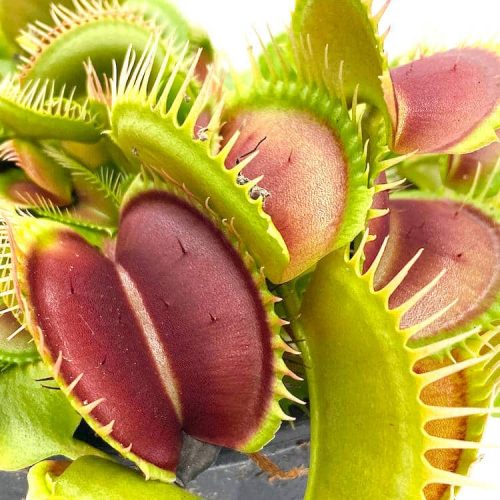 nDARUqnlK7IKBod5yz02.jpg nDARUqnlK7IKBod5yz02.jpg