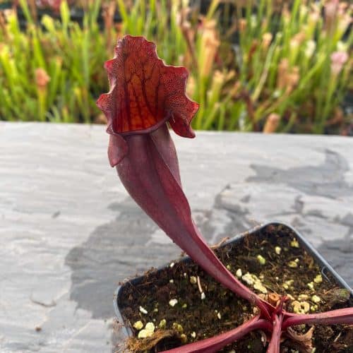 nDSG0biGbl2osCEnPf4B.jpg nDSG0biGbl2osCEnPf4B.jpg