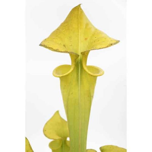 nSlsbGjWqnnJSzpvz8Cu.jpg nSlsbGjWqnnJSzpvz8Cu.jpg