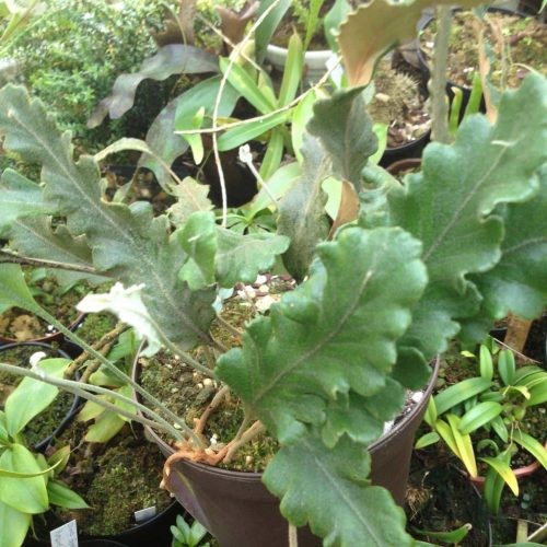 nU2bCUH9Ir2DeYkHZZsQ.jpg nU2bCUH9Ir2DeYkHZZsQ.jpg