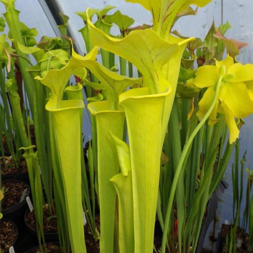 nUAb55lAI50UGfqBAceW.jpg nUAb55lAI50UGfqBAceW.jpg