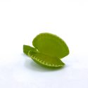 ngtSIum5zX3aOKjfepx6-1.jpg