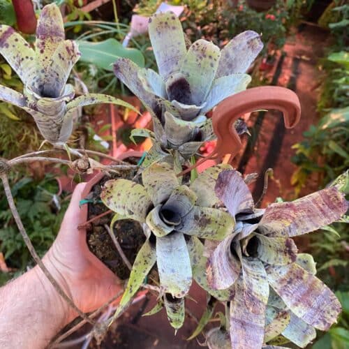 nqEfYUdeAHaiNLmTdxo0.jpg nqEfYUdeAHaiNLmTdxo0.jpg