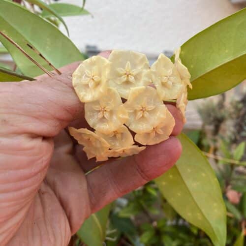 ntbjpRj9WfLmmNx0WfhH.jpg ntbjpRj9WfLmmNx0WfhH.jpg