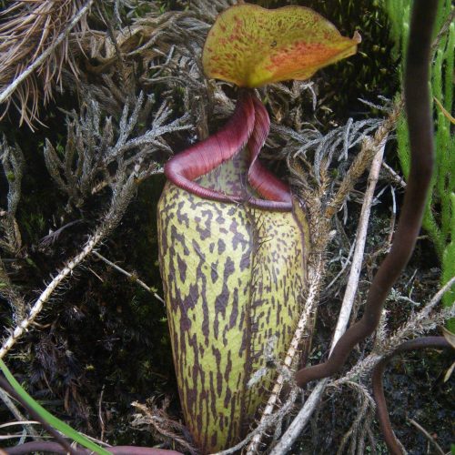 nunivwJS95Zlr4x1FbIT.jpg nunivwJS95Zlr4x1FbIT.jpg