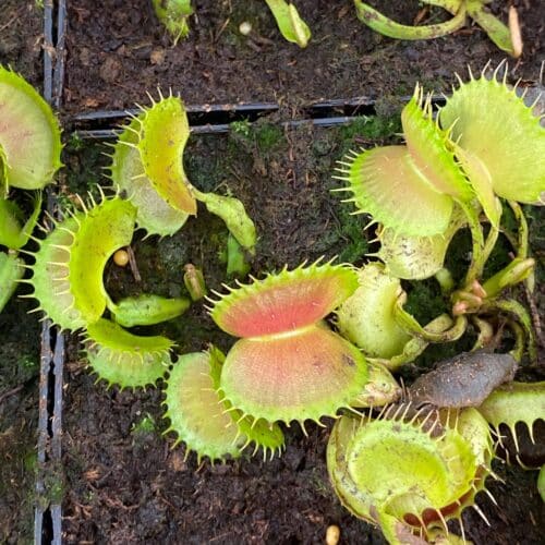 o90JO4vkz2xqXkyVXob0.jpg o90JO4vkz2xqXkyVXob0.jpg