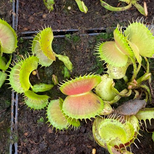 o90JO4vkz2xqXkyVXob0.jpg o90JO4vkz2xqXkyVXob0.jpg