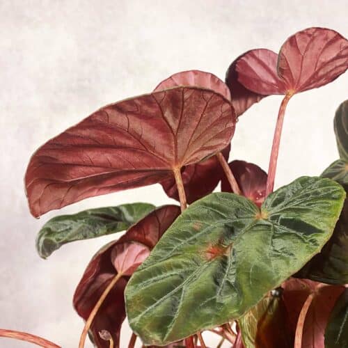 oAKXo5abE2mXhOGsBtTJ.jpg oAKXo5abE2mXhOGsBtTJ.jpg