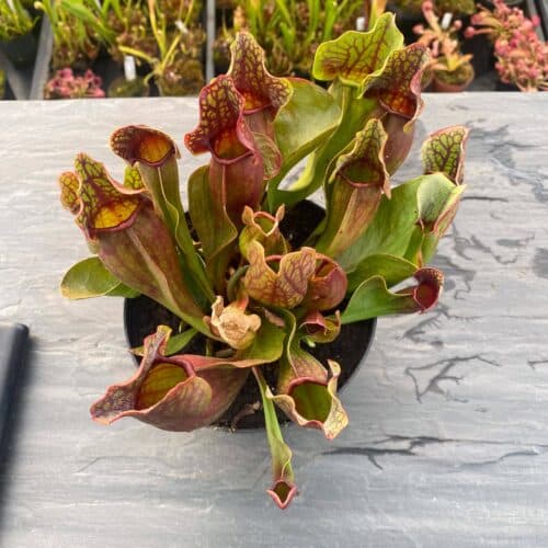 oBOTrOt5GkB6XDbPMYBS.jpg oBOTrOt5GkB6XDbPMYBS.jpg