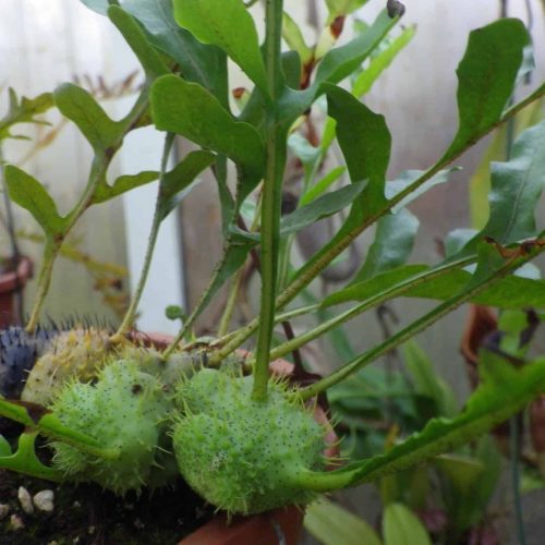 oFd6m4ScUCm04k65wUAn.jpg oFd6m4ScUCm04k65wUAn.jpg