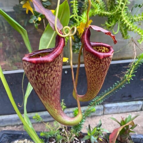 oPEcbzVp2bcXqBYAfy3u.jpg oPEcbzVp2bcXqBYAfy3u.jpg