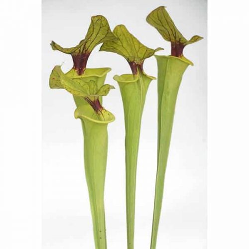 ofdOzMKh9p9SwPIWLXd6.jpg ofdOzMKh9p9SwPIWLXd6.jpg