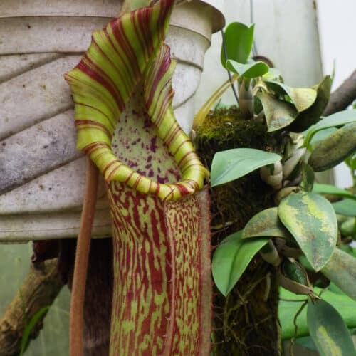 omJ1gMnbvF9btMWz3i4g.jpg omJ1gMnbvF9btMWz3i4g.jpg