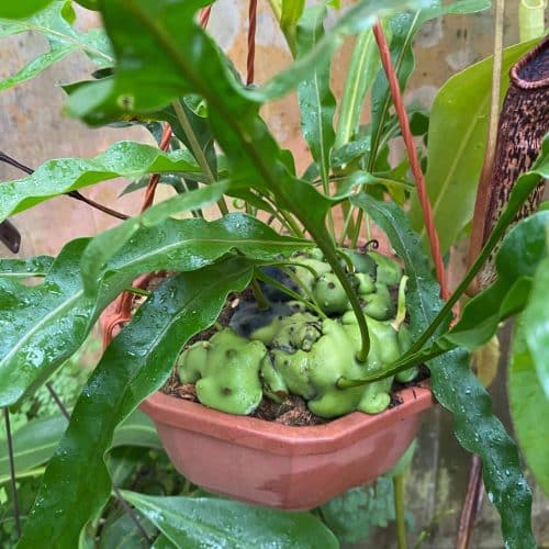 on8rXp2NIGocJoJ4Z3rU.jpg on8rXp2NIGocJoJ4Z3rU.jpg