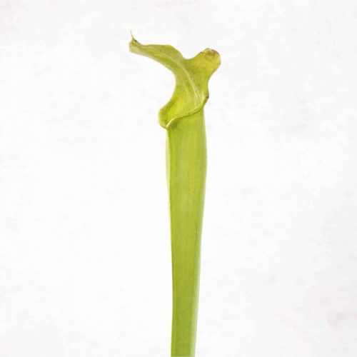 onC026aTMVq2J2ksLR40.jpg onC026aTMVq2J2ksLR40.jpg