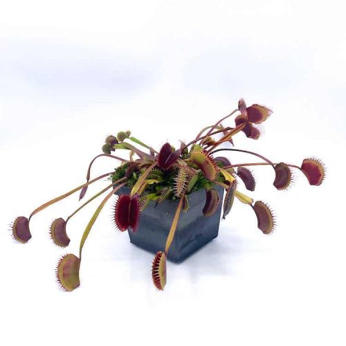 p2fCrqF2GjjvEqKc4Afj.jpg p2fCrqF2GjjvEqKc4Afj.jpg