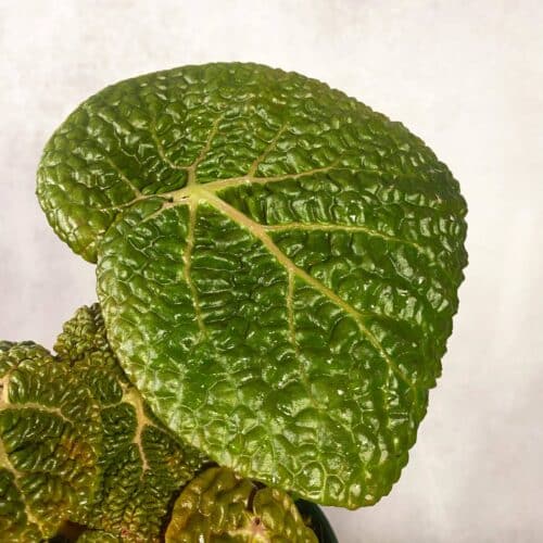 p48BwZH9EYJj9ypouH58.jpg p48BwZH9EYJj9ypouH58.jpg