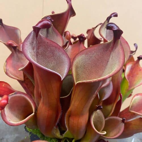 p4YhTNI9mBzaIXeR5lke.jpg p4YhTNI9mBzaIXeR5lke.jpg