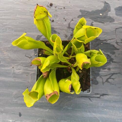 p6rWjSALm5b2hvzpkquQ.jpg p6rWjSALm5b2hvzpkquQ.jpg