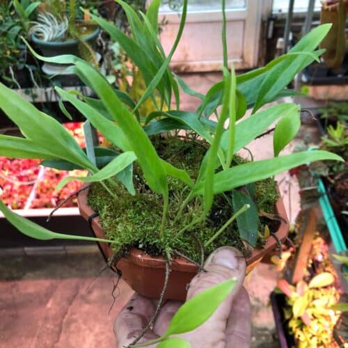 p8HRH74Z3R2BoIdvh7ac.jpg p8HRH74Z3R2BoIdvh7ac.jpg