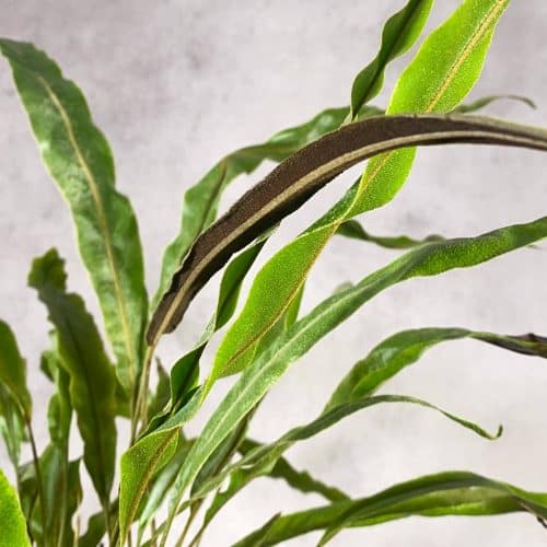 pEpHM3wzcwoy39bWZz0y.jpg pEpHM3wzcwoy39bWZz0y.jpg