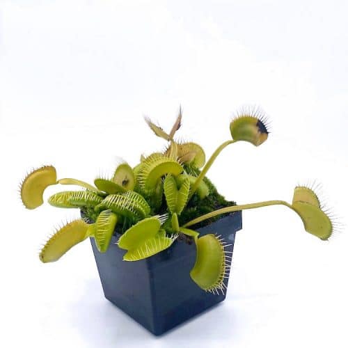 pFNPgUYTrv73NJmktJDo-1.jpg pFNPgUYTrv73NJmktJDo-1.jpg