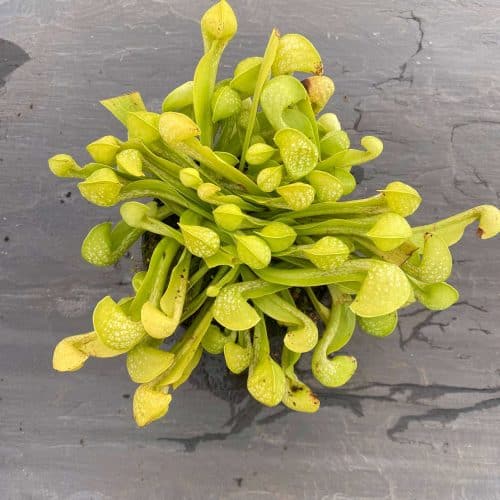 pT4cpZANON6NbPHkUhgz.jpg pT4cpZANON6NbPHkUhgz.jpg