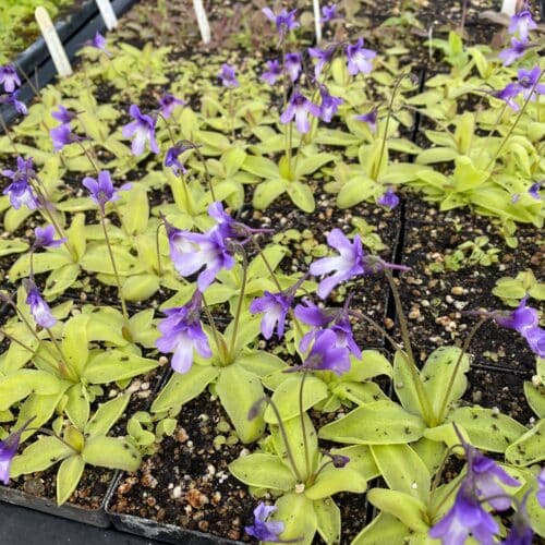 paVn3rzohARoGq3TOSQU.jpg paVn3rzohARoGq3TOSQU.jpg