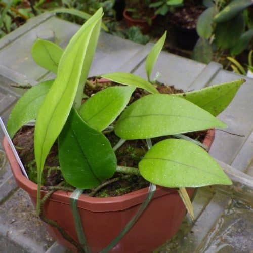 q2bQ8GqtWSp7cbtFE5u1.jpg q2bQ8GqtWSp7cbtFE5u1.jpg