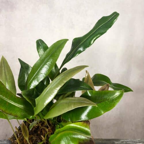 q7LgId8d6ejT09JidE1s.jpg q7LgId8d6ejT09JidE1s.jpg