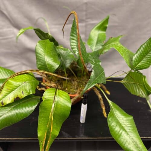 qDcqVqQ6HHLFYWzJC2O7.jpg qDcqVqQ6HHLFYWzJC2O7.jpg