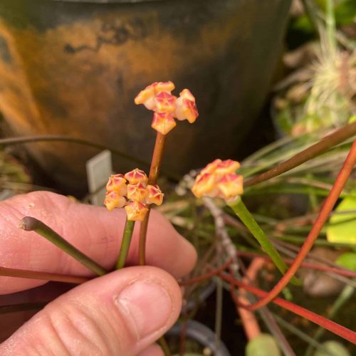 qIk58H84Hwvo35UPGNTA.jpg qIk58H84Hwvo35UPGNTA.jpg