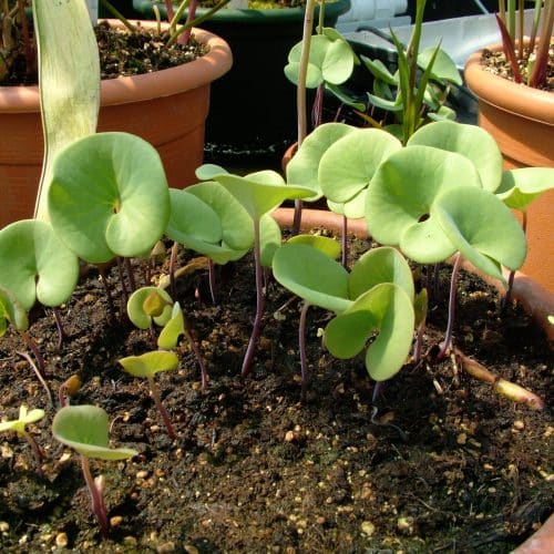 qMolwfF2dPrsvhNr80Yp.jpg qMolwfF2dPrsvhNr80Yp.jpg